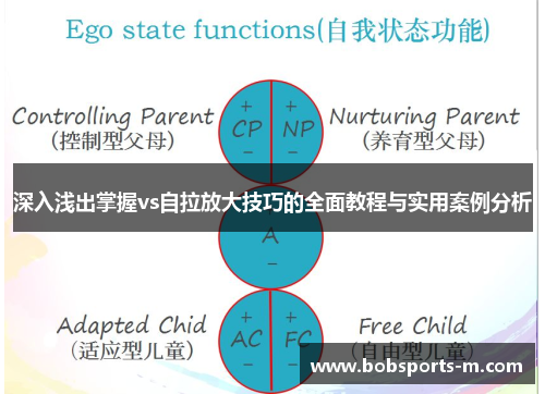 深入浅出掌握vs自拉放大技巧的全面教程与实用案例分析