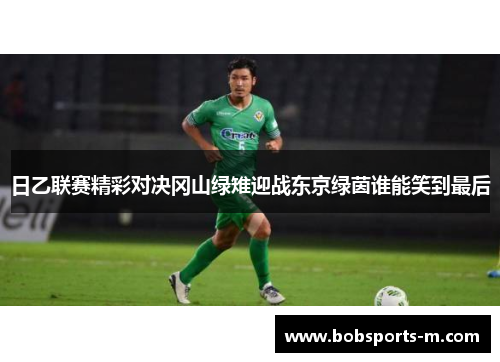 日乙联赛精彩对决冈山绿雉迎战东京绿茵谁能笑到最后